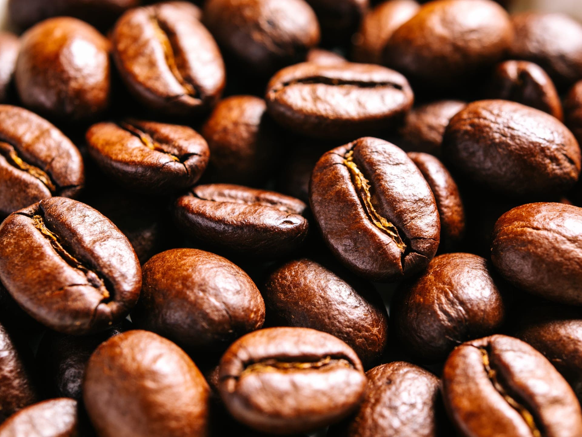 Freshly roasted coffee beans cooling in the roastery